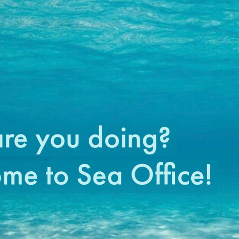 Sea Office自社広告