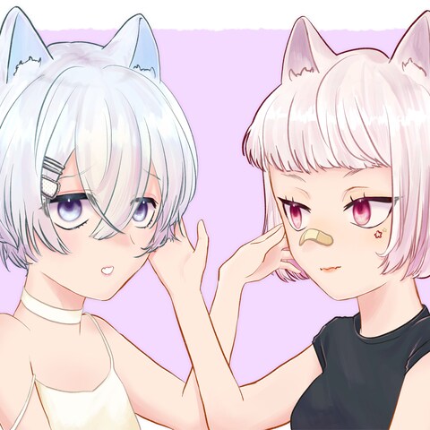 双子ネコ