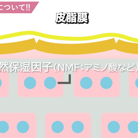 医療系YouTubeチャンネル運用制作、投稿管理等