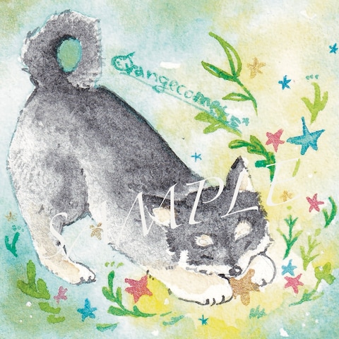 しば犬