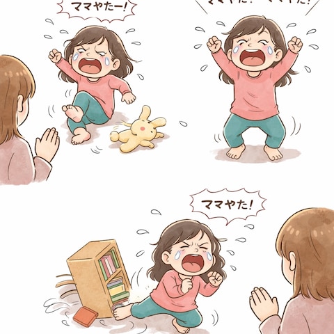 癇癪対応の実体験(自閉スペクトラム.ADHD)