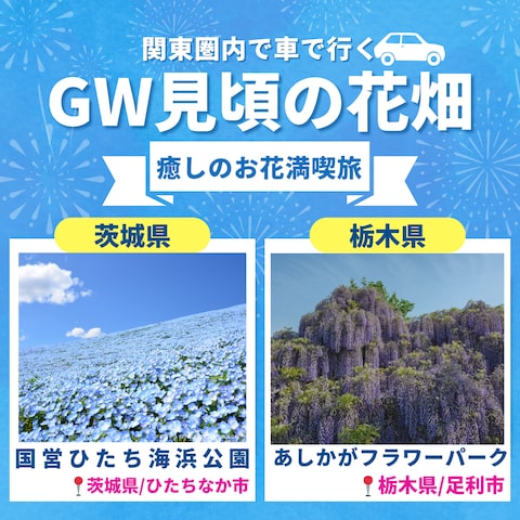 Instagramフィード投稿