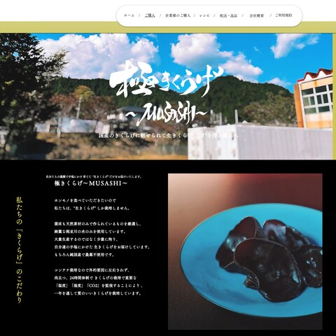 WEBページの作成を行いました。