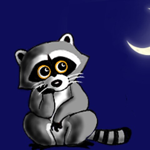 Moonlit raccoon