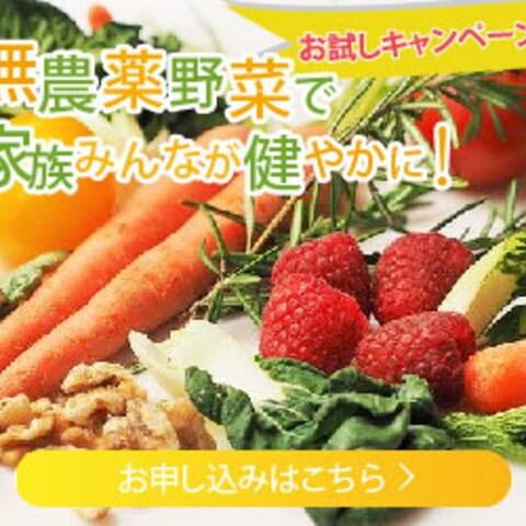 野菜通販サイトのバナー