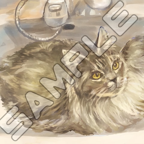 猫のイラスト