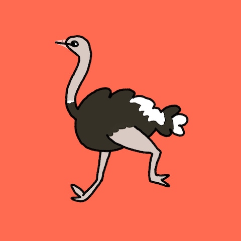 ダチョウ。
