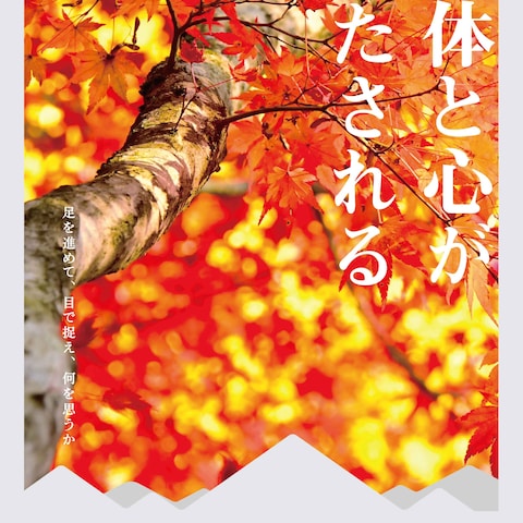 岐阜 馬籠宿の紅葉イベントポスター