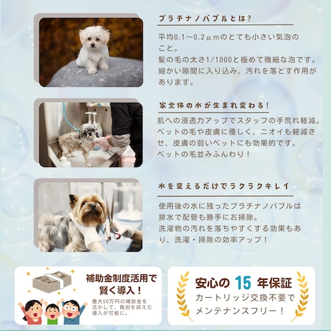 ペットサロン向け販促チラシ裏面