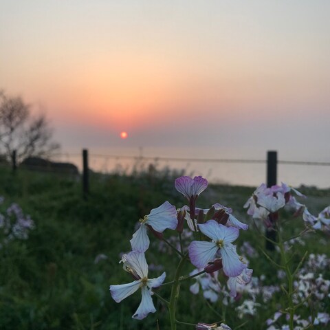 日本海の夕陽を背に