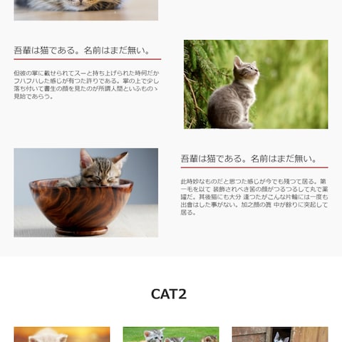 CAT'S（練習用）