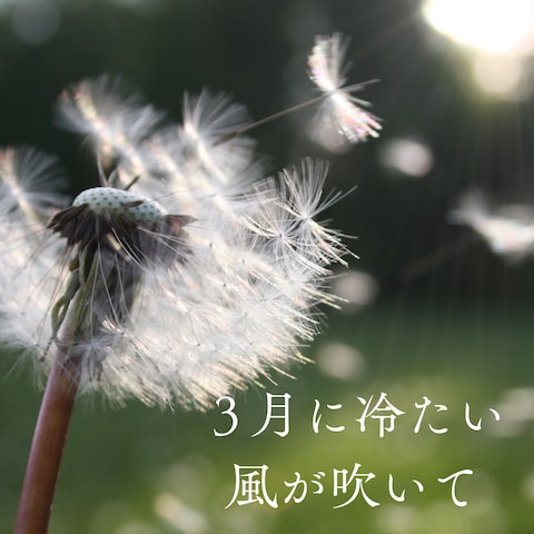 無駄なものは何一つない　～冷たい風～