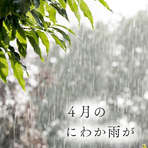 無駄なことは何一つない　～にわか雨～