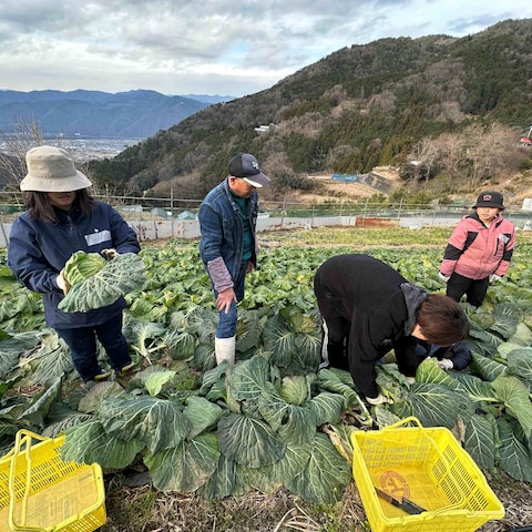 どろんこ収穫体験｜未知の野菜と出会い、未来の農園を語る1日