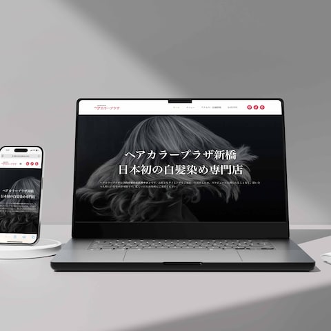 ヘアカラープラザ新橋店