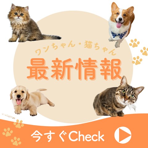 ペットショップ　リッチメッセージ