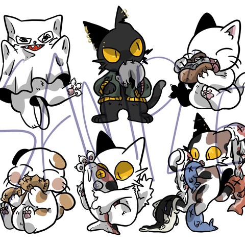 猫