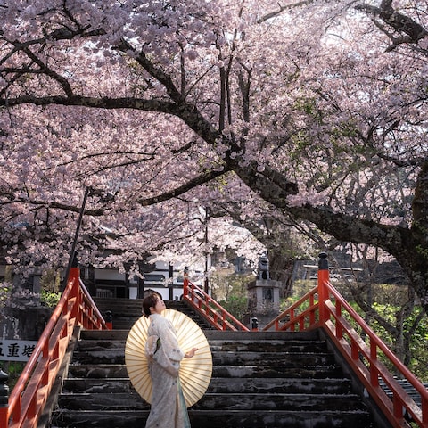出張撮影承ります‼️
