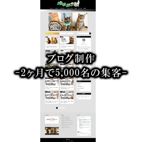 【新規ドメイン】個人ブログ制作-2ヶ月で5000名の集約-