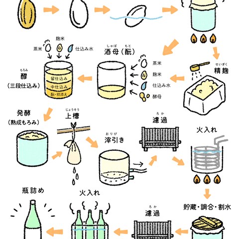日本酒の製造過程イラスト