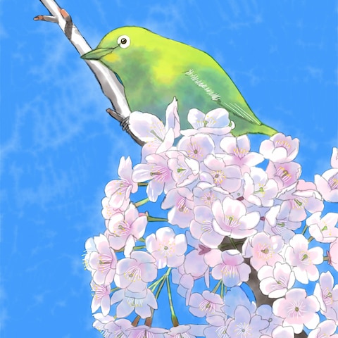 メジロと桜