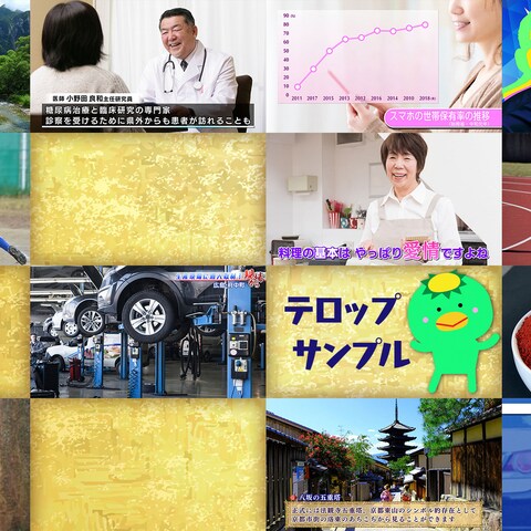 テロップサンプル集