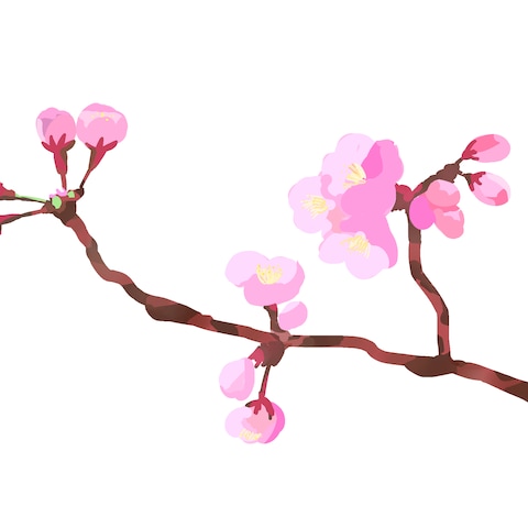 桜のイラスト