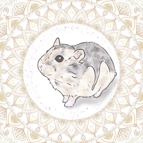 愛ハムのルナさん