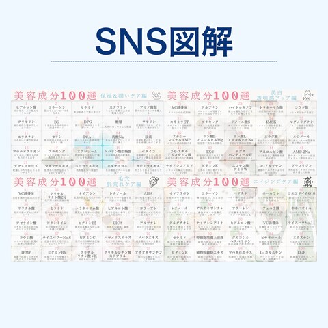 SNS図解