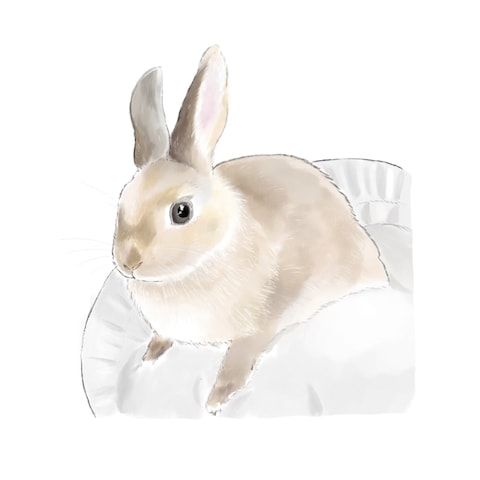 フォロワーさんのうさぎさん