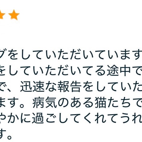 ペットヒーリング