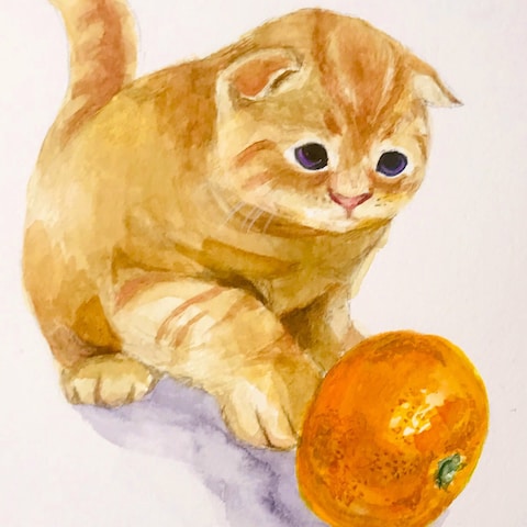 コロコロみかん猫(水彩)