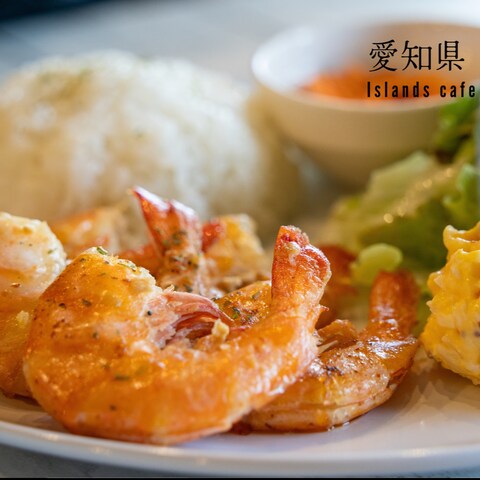 料理