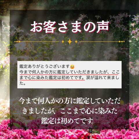 お客さまの声