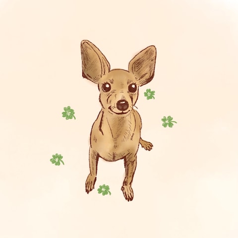 ペットのイラスト