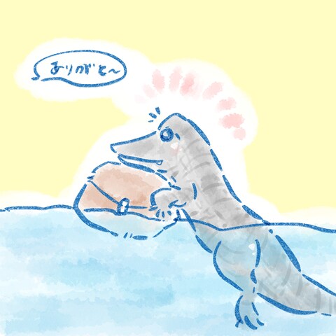 ワニ