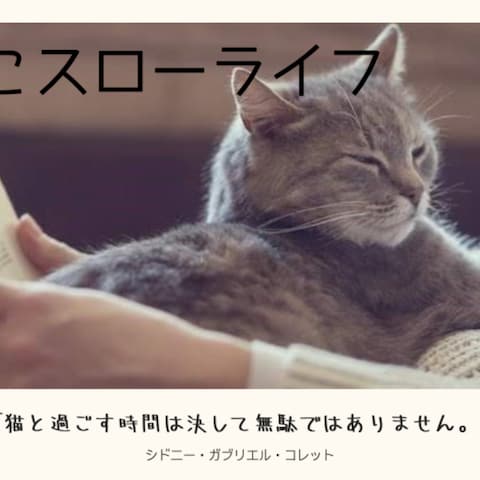 ブログ記事のサムネイル