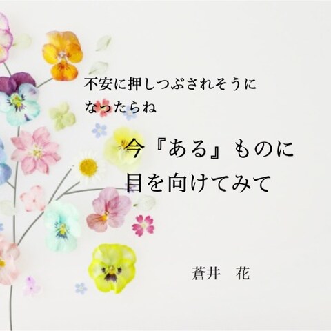 蒼井　花   の一言　【今、あるもの】