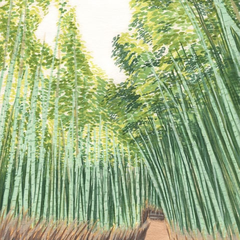 京都・嵐山の竹林　旅行・観光・風景画（水彩画）