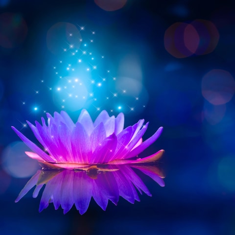 あなたの潜在能力を開花させましょう