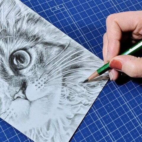 猫の絵（鉛筆画）