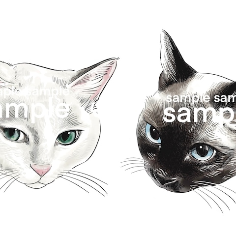 パッケージイラスト