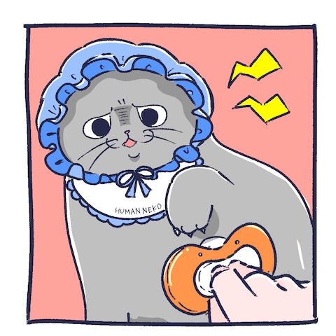 不満気な顔の猫
