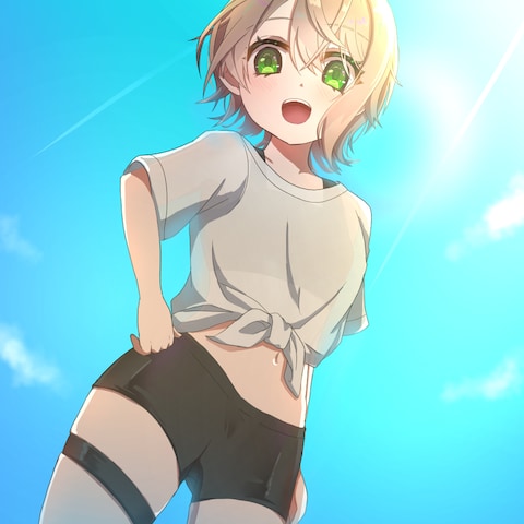 1枚絵