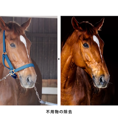馬具の除去
