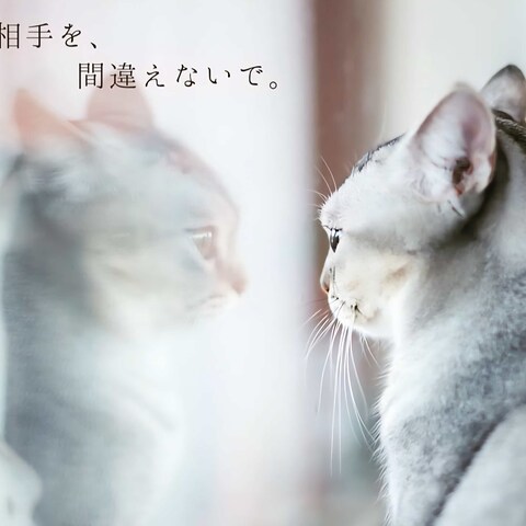 インスタ　過去投稿作品