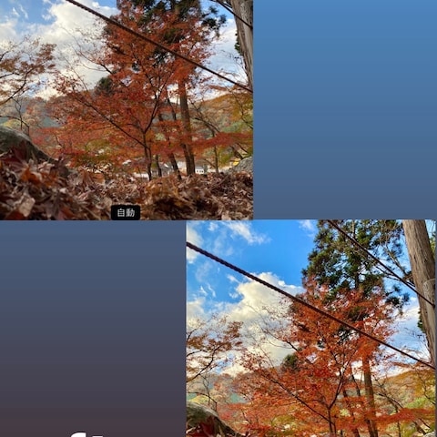 紅葉