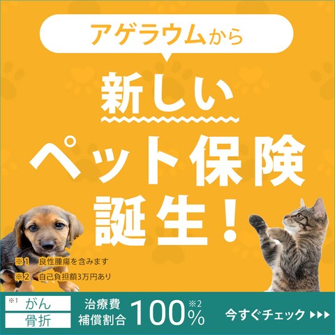ペット保険のWEBバナー