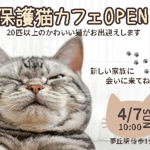 自主制作 保護猫バナー
