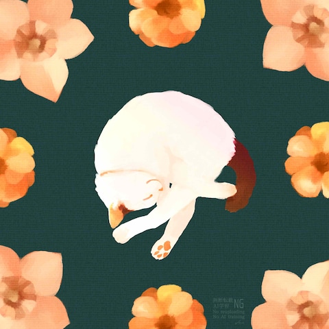 花とおやすみ